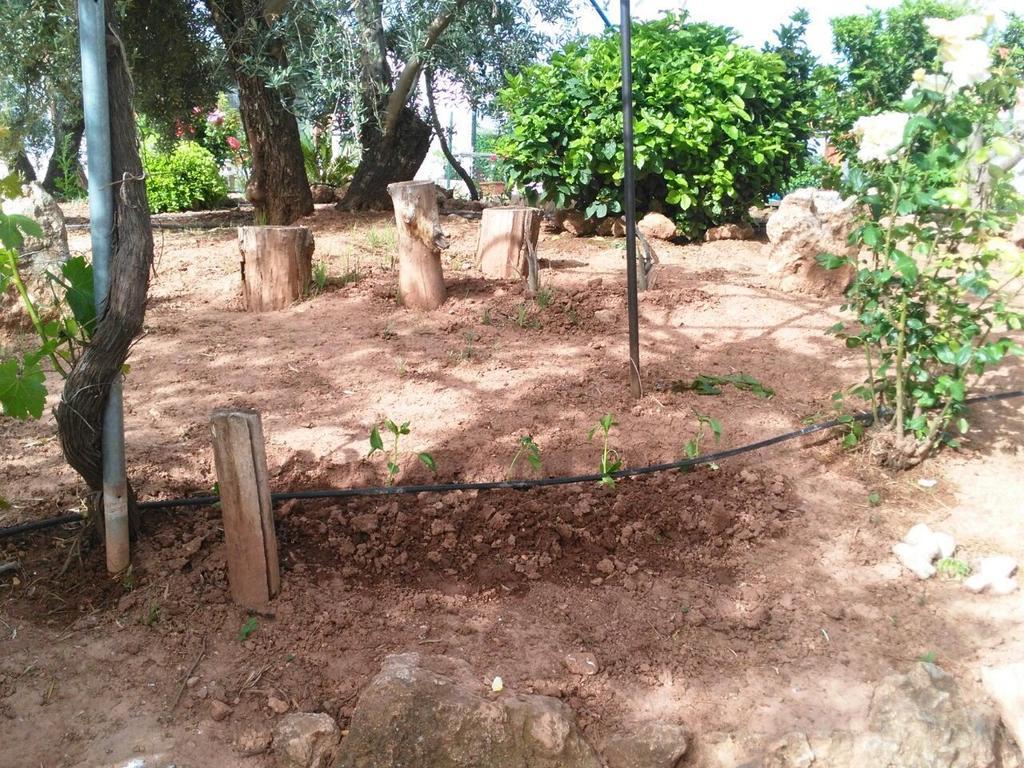 Alojamientos Rurales La Loma 波索爱尔康 外观 照片