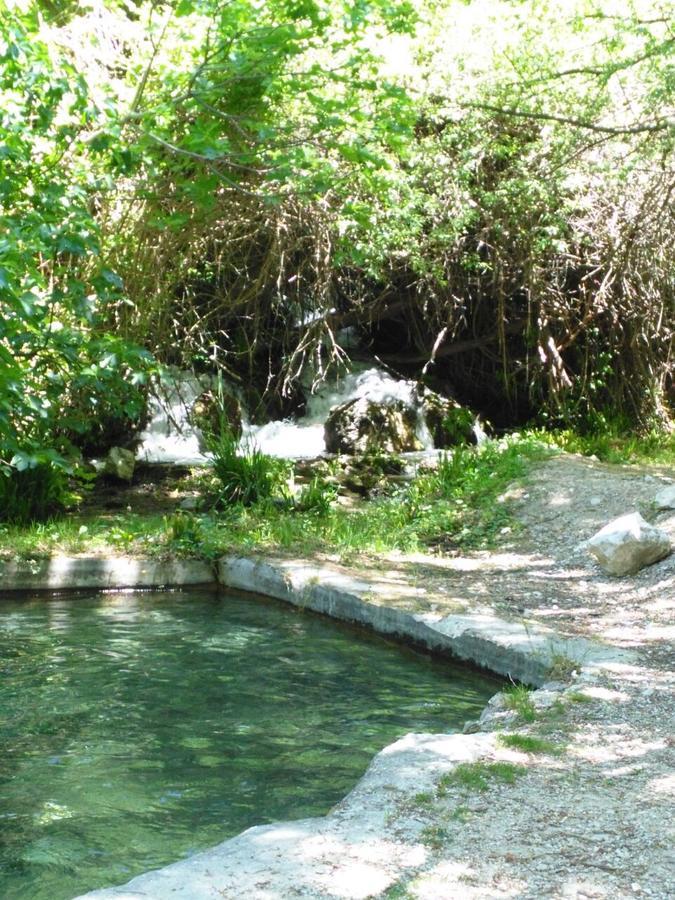Alojamientos Rurales La Loma 波索爱尔康 外观 照片