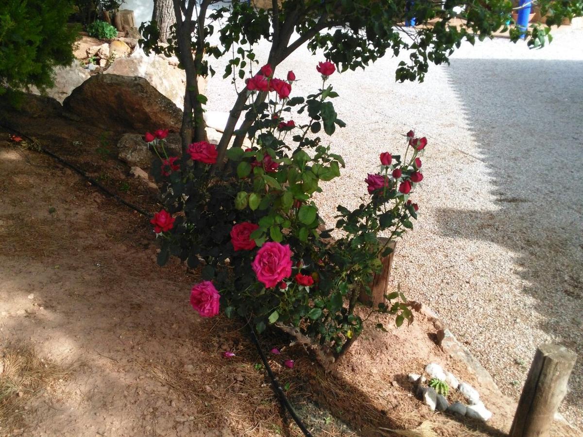 Alojamientos Rurales La Loma 波索爱尔康 外观 照片